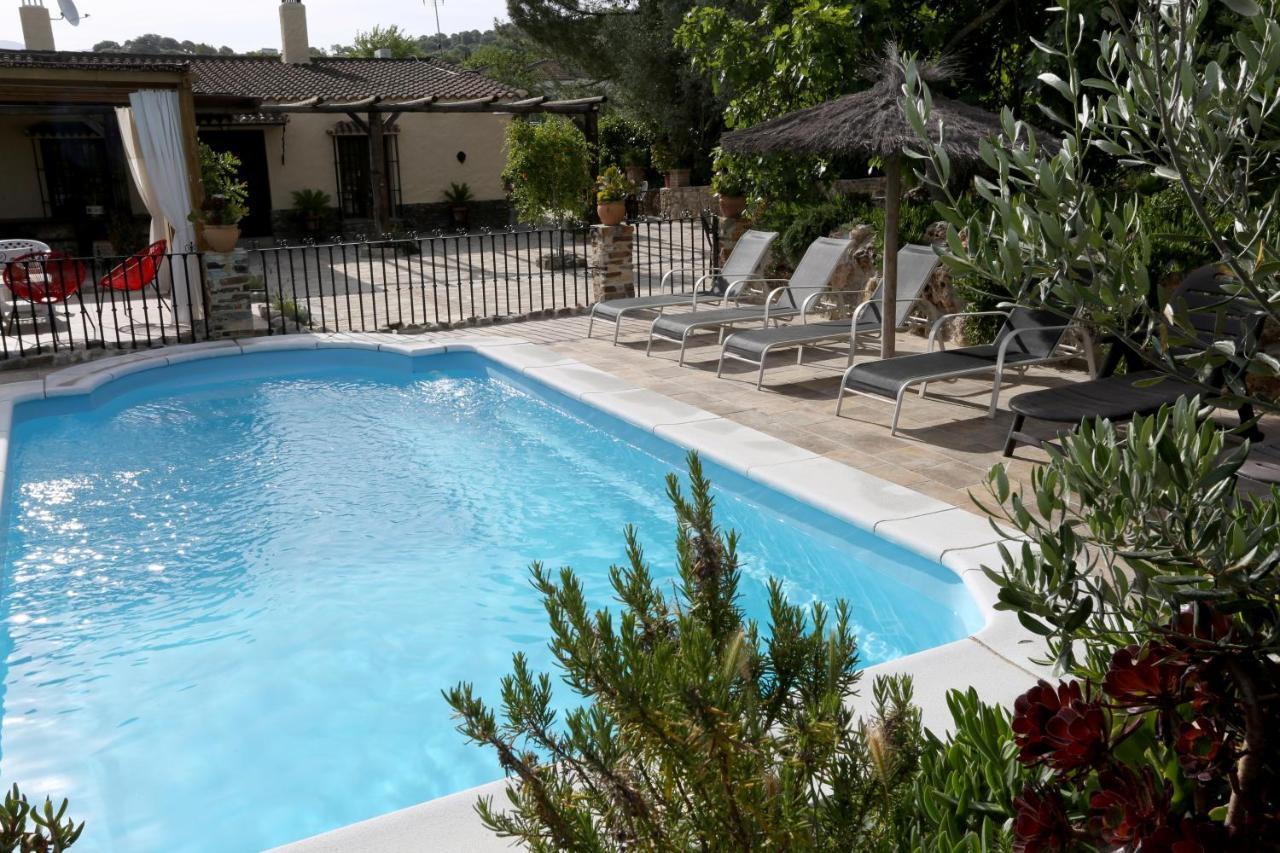 Llano San Ignacio Guest House El Bosque Luaran gambar